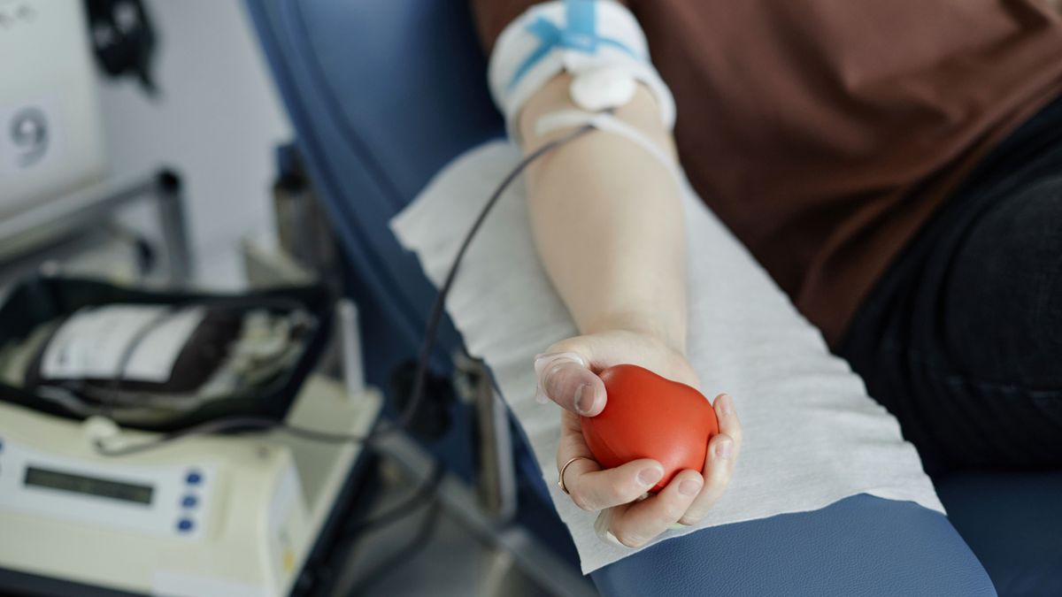 Jövő heti véradások Veszprém vármegyében: helyszínek és időpontok