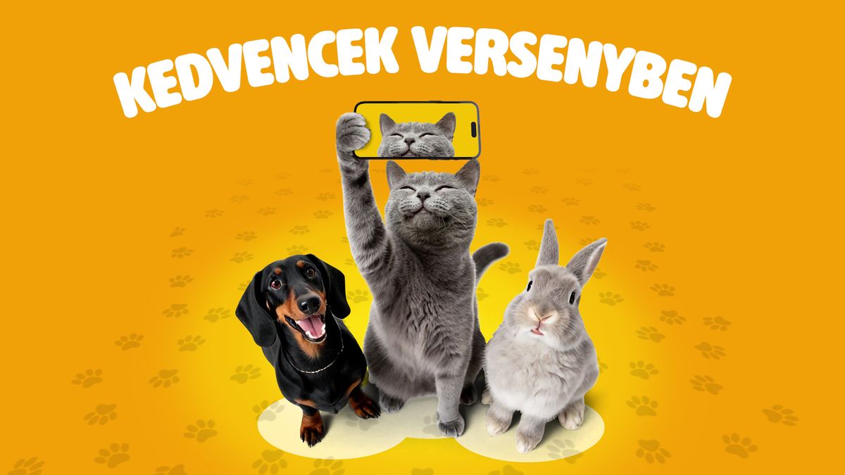 Ismét itt a Kedvencverseny, kezdődhet a nevezés!