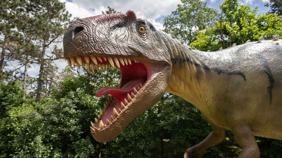 Pár nap múlva újra megnyílik a Dinó park a Veszprémi Állatkertben