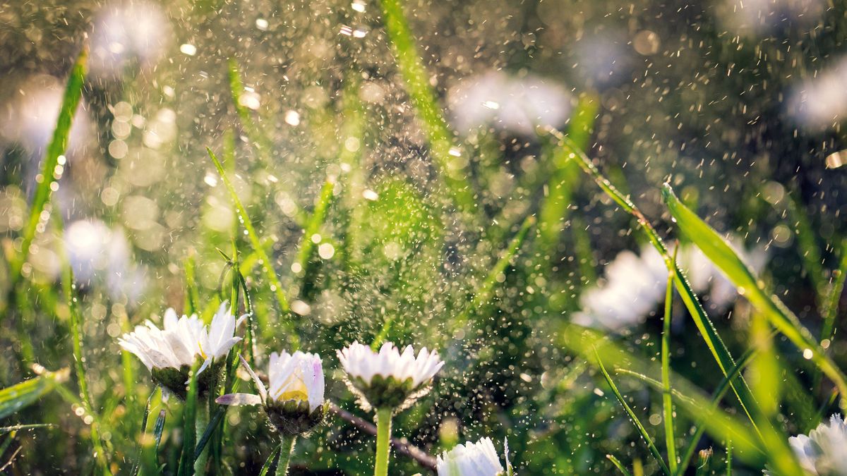 Szél és felhők uralják a reggelt, majd kisüt a nap Veszprémben