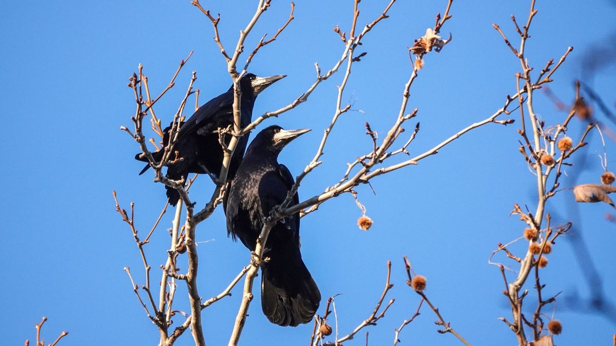 Napos idő jön, de jégeső is érkezhet – ilyen lesz a mai időjárás Veszprémben