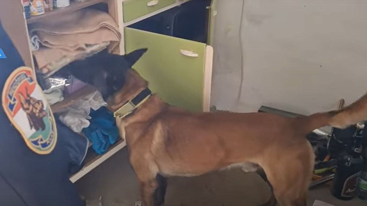 Pozitív lett a drogteszt: a munkahelyén csaptak le a 41 éves férfira (+ videó)