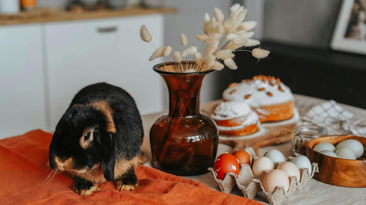 Húsvéti nyúl és tojás? Meglepő, honnan származnak
