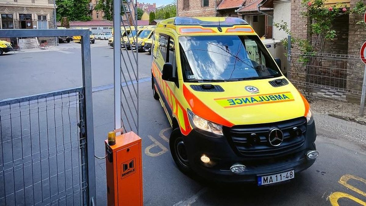 Nem hezitált: 10 éves kisfiú mentette meg a testvére életét