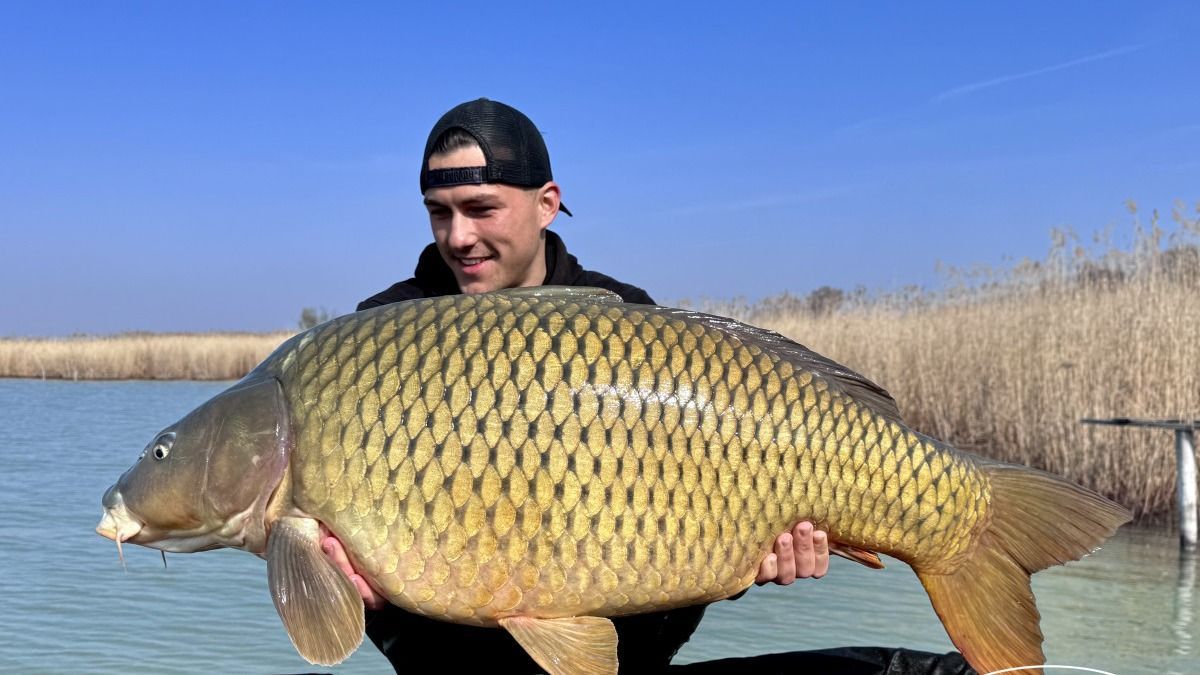 Elképesztő kezdés a horgászszezonban Szigligeten – hatalmas ponty akadt horogra