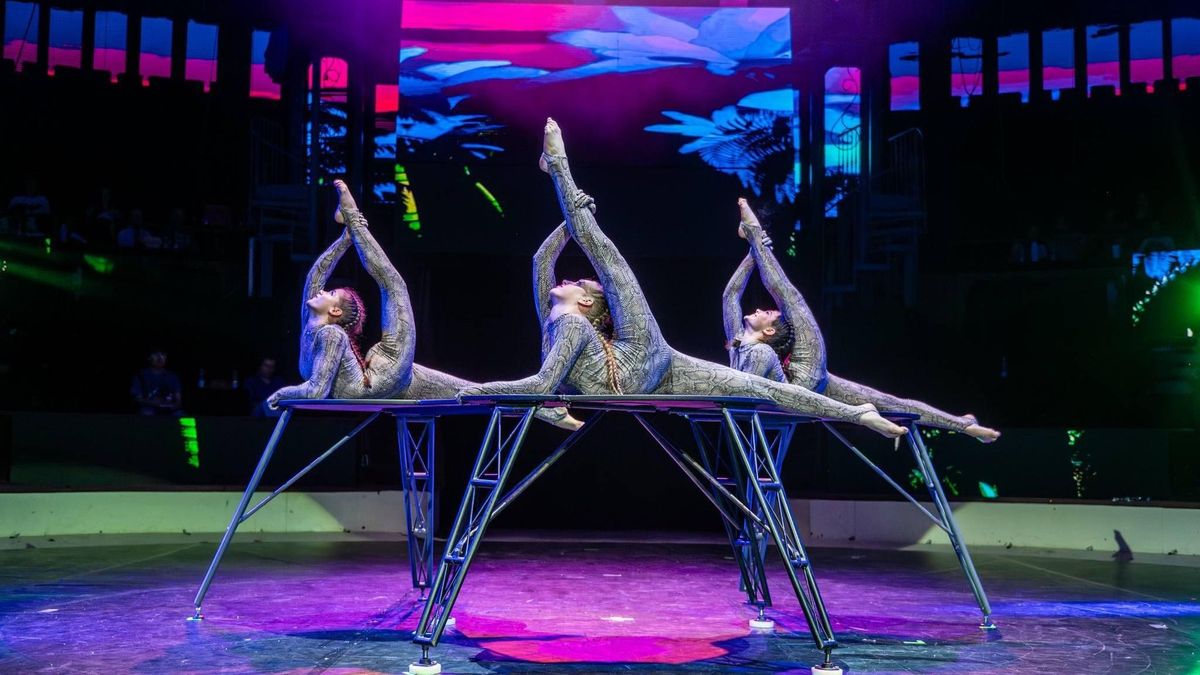 Beteljesült az álmuk, a Fővárosi Nagycirkuszban lépnek fel a pápai artistanövendékek