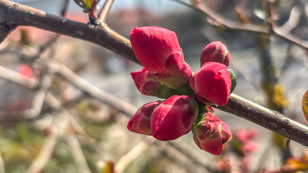 Szeles, majd borús szerda vár ránk