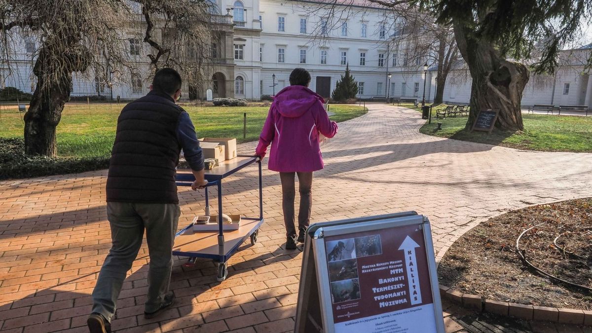 Természettudomány, kutatás és múzeumi munka a Bakonyban (galéria)