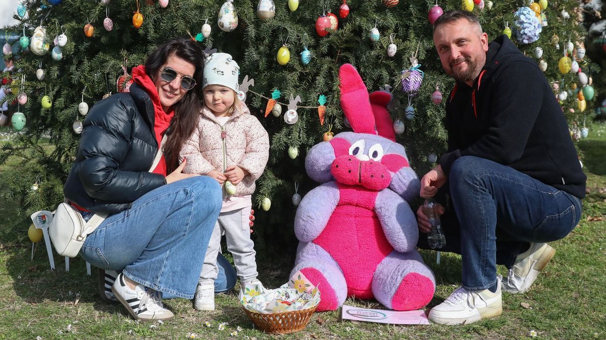 Óriási fotóválogatás, videó: még külföldről is az Almádi Tojásfa csodájára járnak