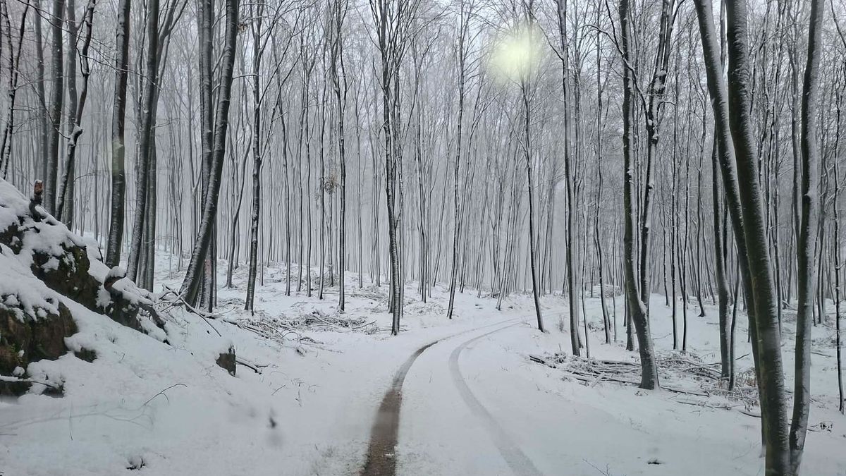 A Bakony legmagasabb pontján napközben is megmaradt a tavaszi hó (képgaléria)