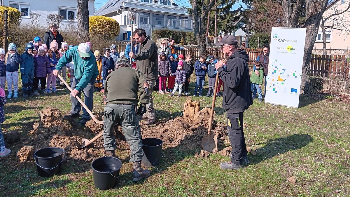 Zöldül Szentgál: folytatódik a Településfásítási program (galéria)