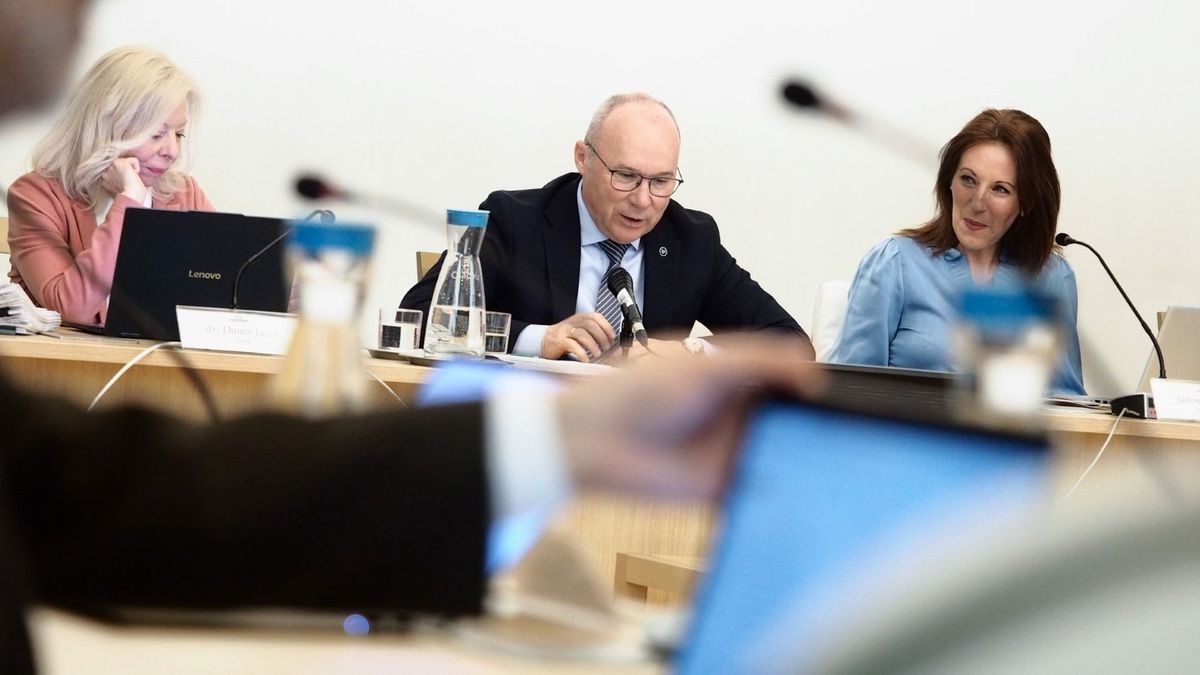 Márciusi közgyűlés: új rendelet vonatkozik a veszprémi taxisokra, módosul a településterv (galéria)