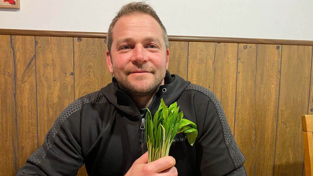 Medvehagyma-kisokos a bakonyi szezonhoz – Lelőhelyektől a szedési tippekig (+ podcast)