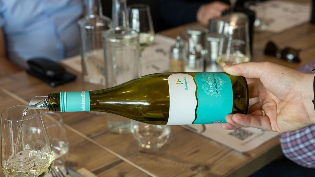 Jön a balatoni szuperbor: összefognak a borászok, hogy megalkossák a tó csúcsitalát