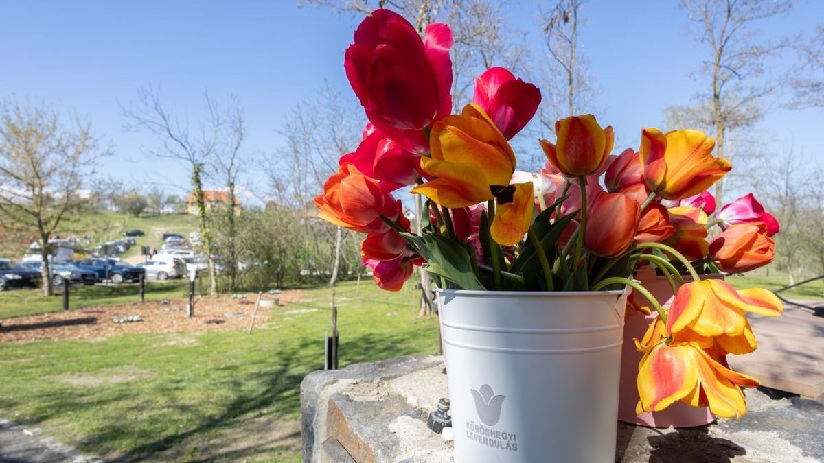 Meglepetést tartogat a húsvéti időjárás - mutatjuk!