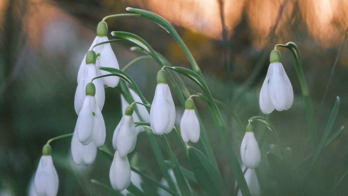 Felhők után napsütés? Így alakul a mai időjárás Veszprémben