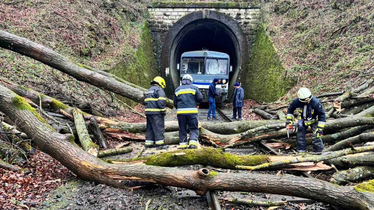 Kidőlt fa akadályozta a vasúti közlekedést a Bakonyban (képek)