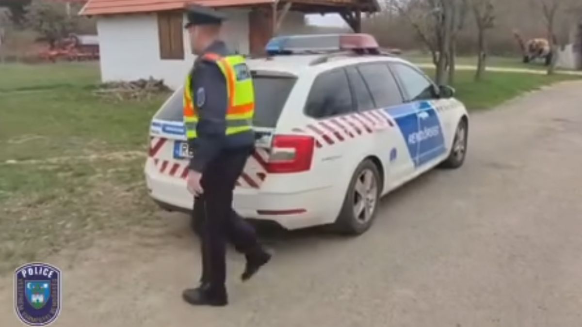 64 láb tűnt el nyomtalanul: haszonállatlopás miatt nyomoz a rendőrség (+videó)