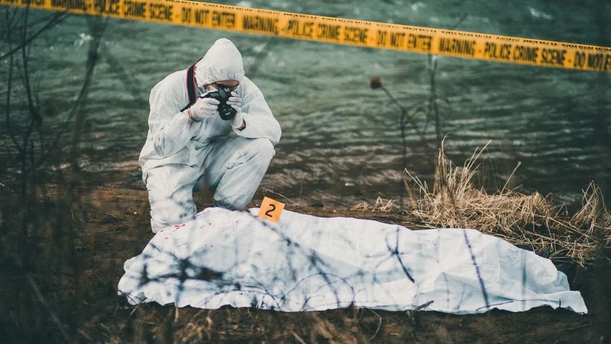 Holttestet találtak a 8-as főút mellett, megszólalt a rendőrség