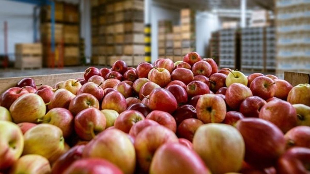 Drágul a lengyel alma Magyarországon – a boltokban is érezni fogjuk