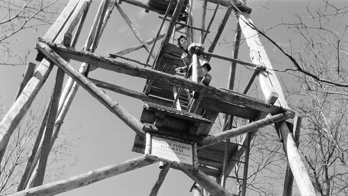 Volt egyszer egy bakonyi kilátó egy legendás hegyen, ha nem emlékszik rá, megnézheti retró fotón