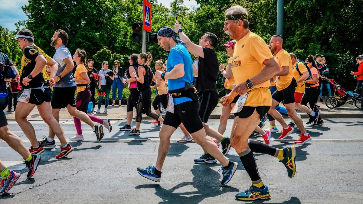 Nyuszi, mozgás és vidámság: futónap várja a családokat Tapolcán