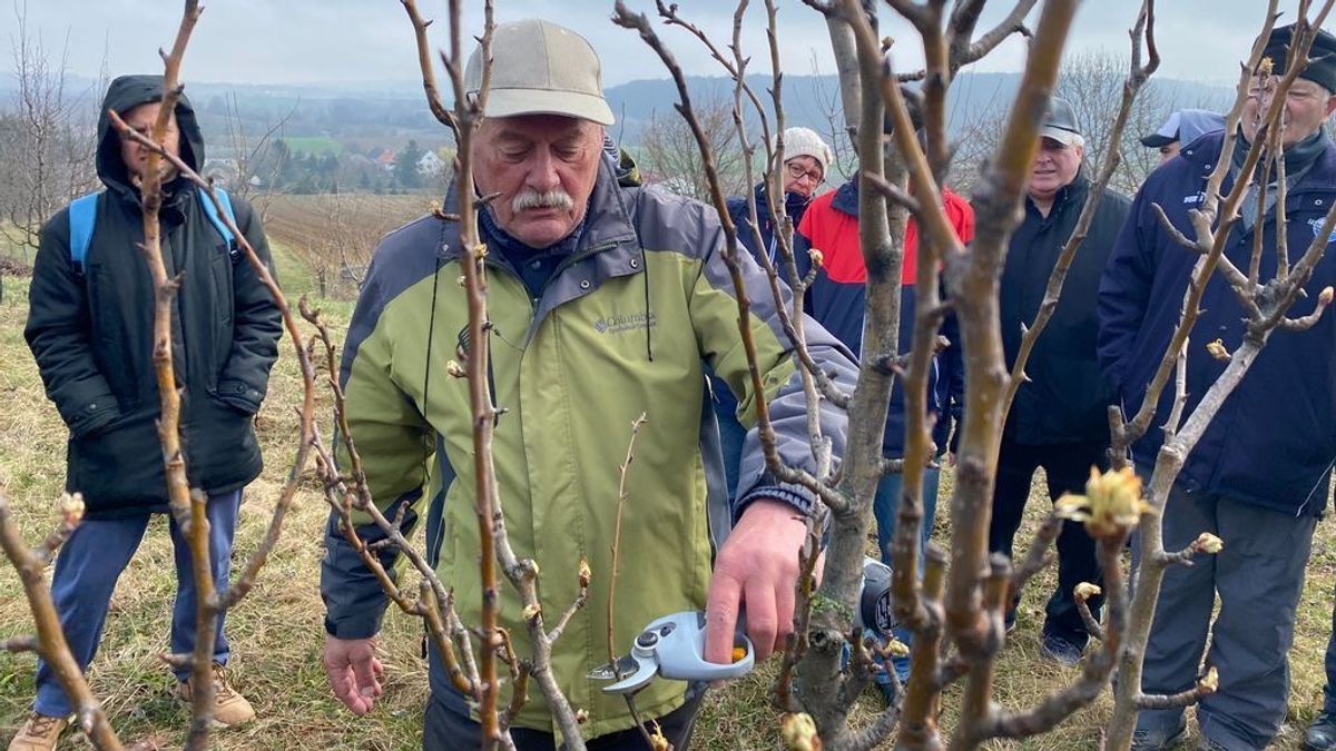 Márciusi kerti munkák: lényegbe vágó kérdések, jó tanácsok a szakembertől