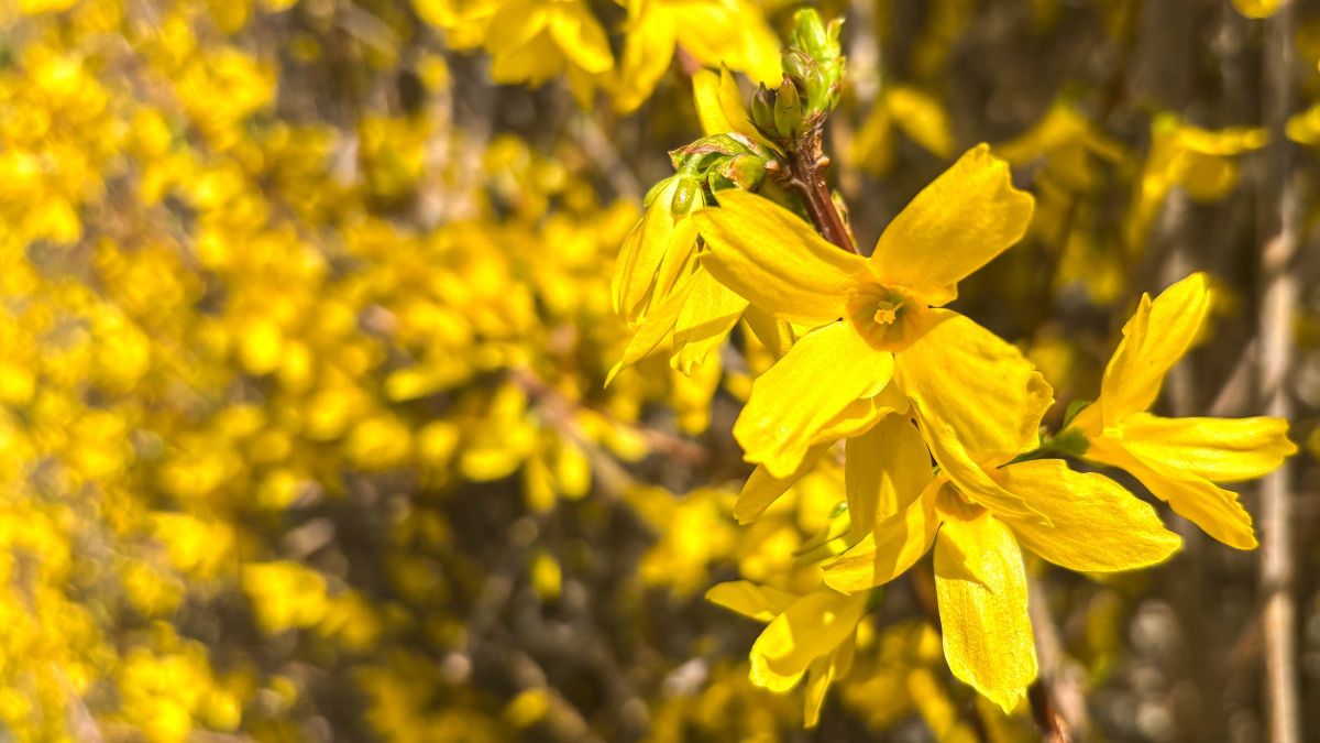 Fordulatos időjárás köszönt ránk: szerdán akár vihar is lehet