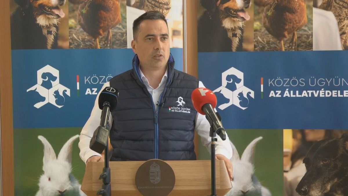 Rekordszámú civil szervezet nyert állami támogatást az egymilliárd forintos pályázaton