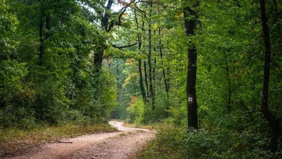 Titkos ösvények és elfeledett látnivalók a Balaton-felvidéken