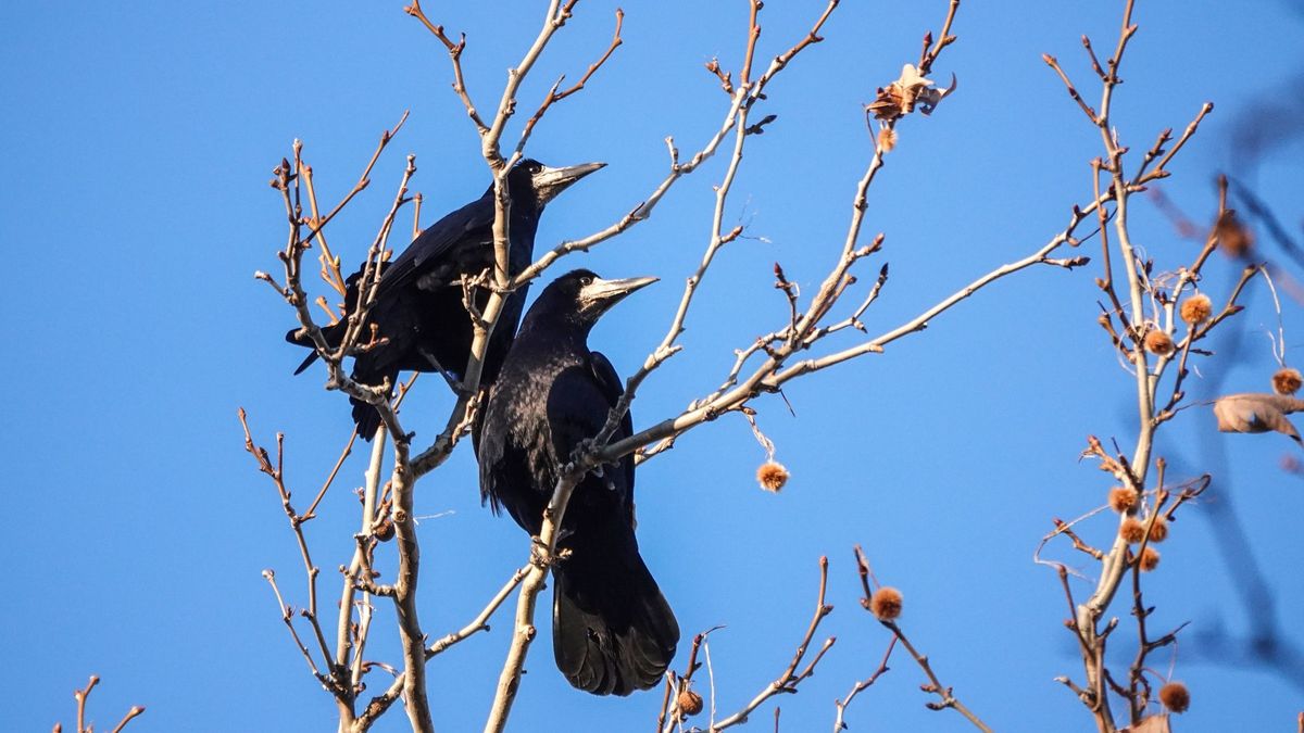 Fordulatos időjárást tartogat a szerda