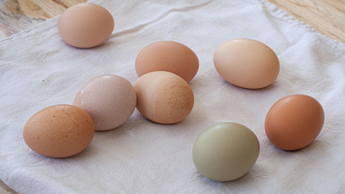 Utánajártunk, hogy alakulnak a tojásárak húsvét előtt a boltokban