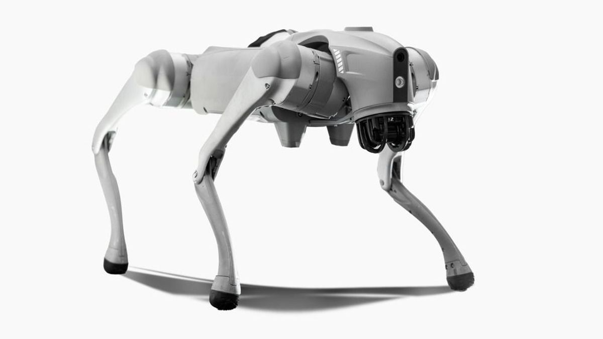 Biztonság vagy megfigyelés? Robotkutyák őrzik a lakóparkot