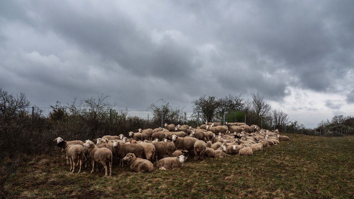 Nem lesz kegyes az időjárás: eső és viharos szél érkezik vasárnap