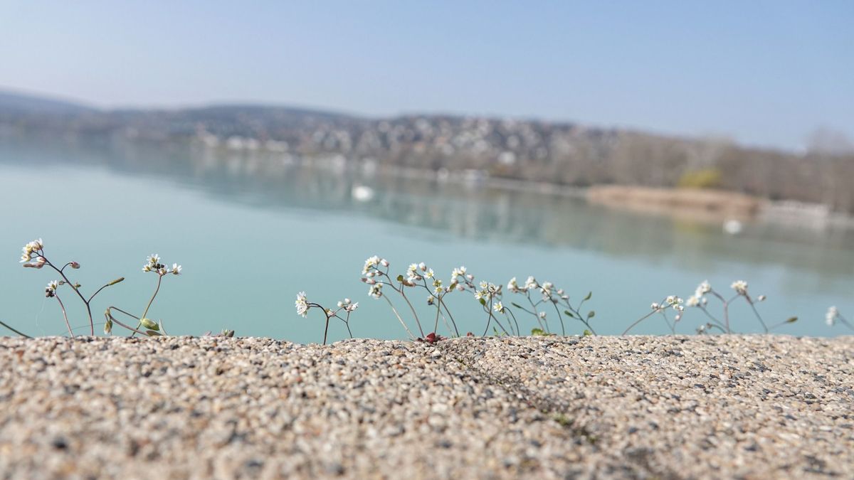 Fagyosan indul a nap: változékony idő vár ránk pénteken