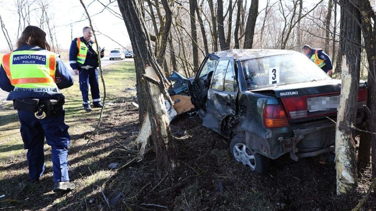 Két kisgyerekkel csapódott a fák közé a Suzuki (+képek, videó)