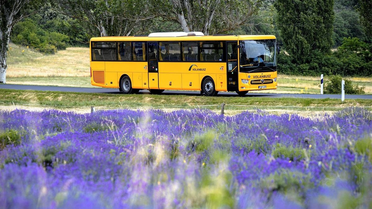 Figyelem, busszal járók! Fontos járatokon változik a menetrend április 1-jétől