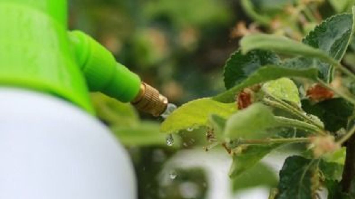 Veszély a polcokon – a hamis szerek, amikről tudnod kell