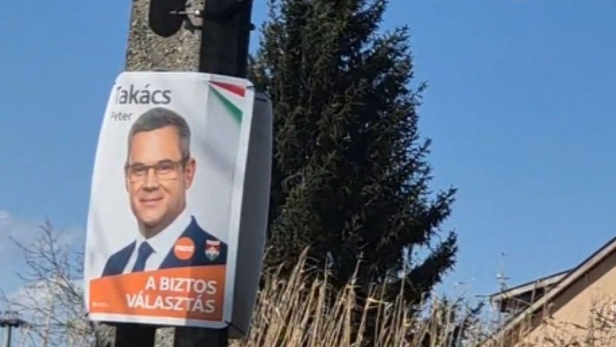 Igazat adott a választási bizottság Takács Péternek