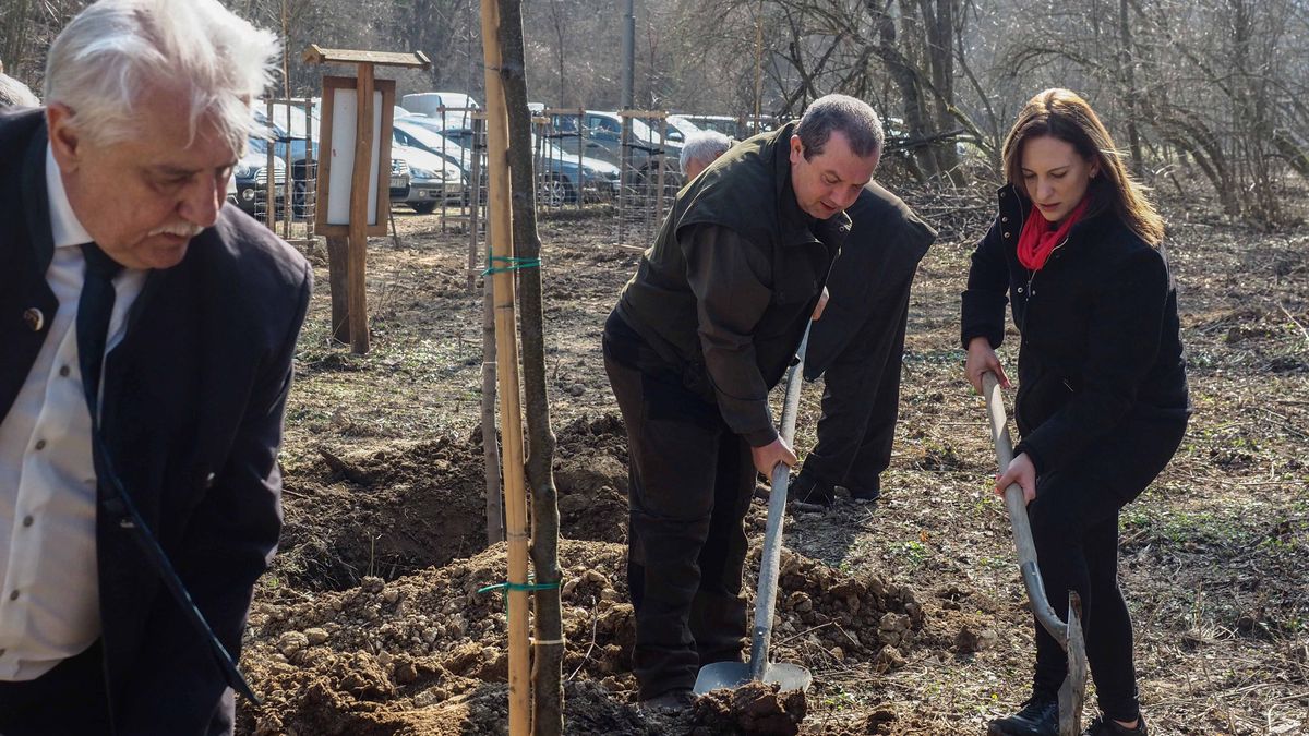 Új szemlélettel alakítják át az erdőgondozást a Koloska-völgyben (galéria + videó)