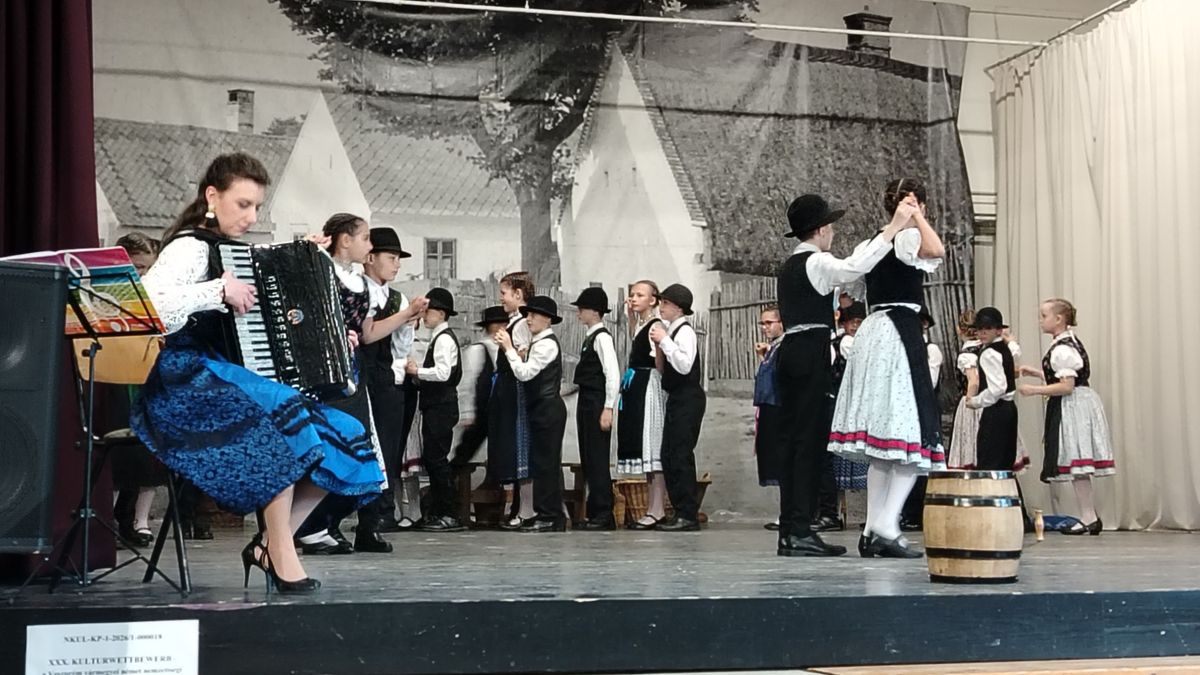 Német nemzetiségi iskolák harmincadik találkozója (fotók, videó)
