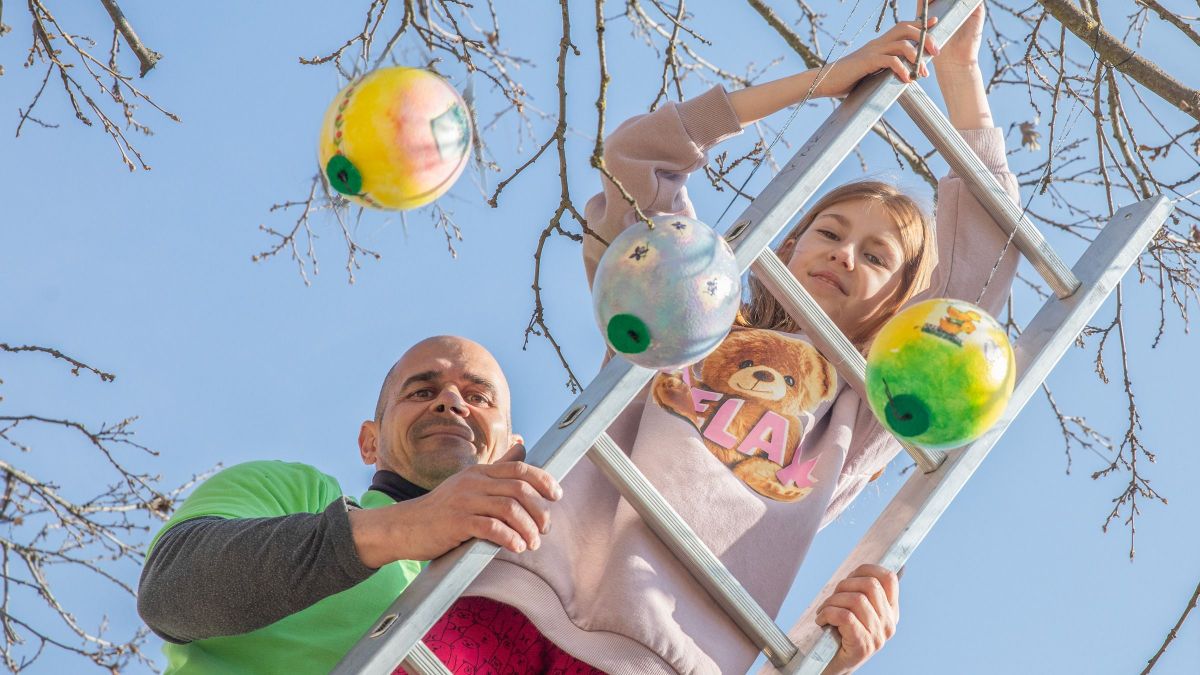 Mire kisütött a nap, színes tojások lepték el az állatkert húsvéti tojásfáját (galéria, videó)