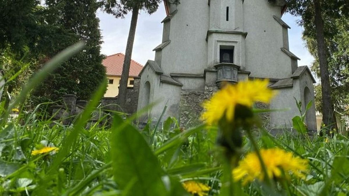 Miért ne siess a fűnyírással? Ezer apró, de nagyon fontos okot tudunk rá