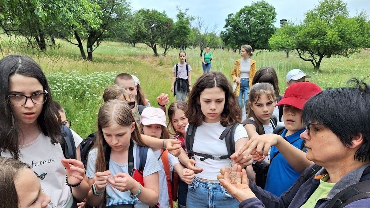 Megújult a tihanyi erdei iskola, korszerűbb körülmények várják a diákokat (galéria)