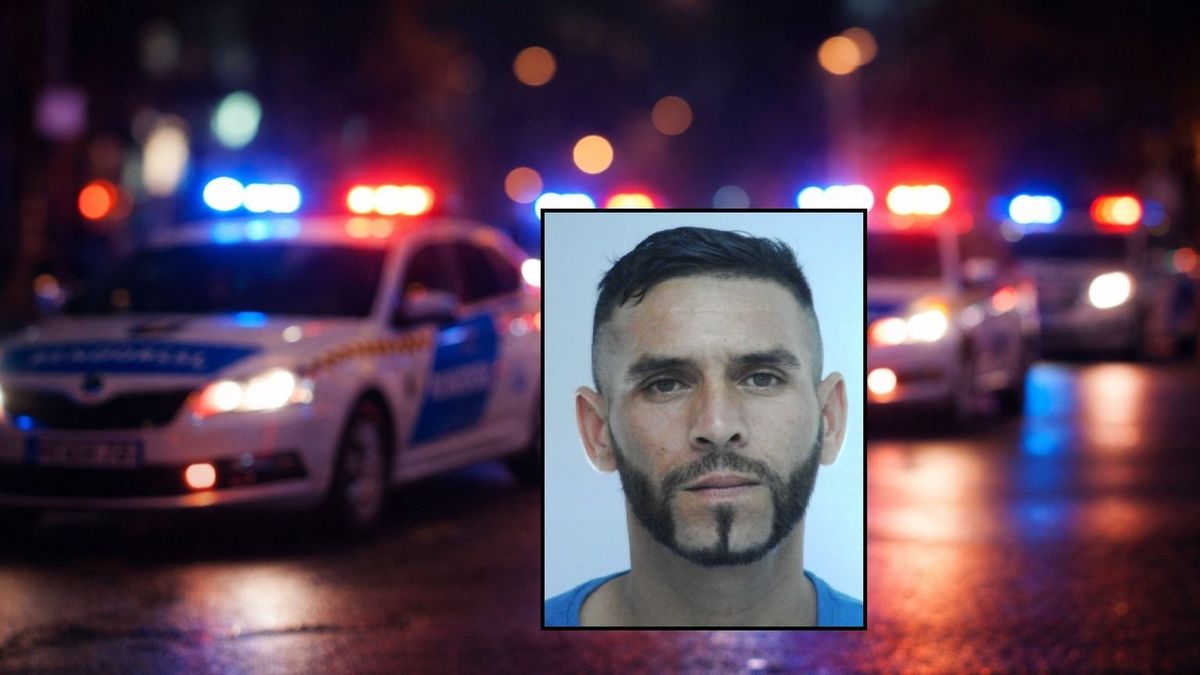 Jól vigyázzon, ha ez az arc megkörnyékezi, már a rendőrök keresik!