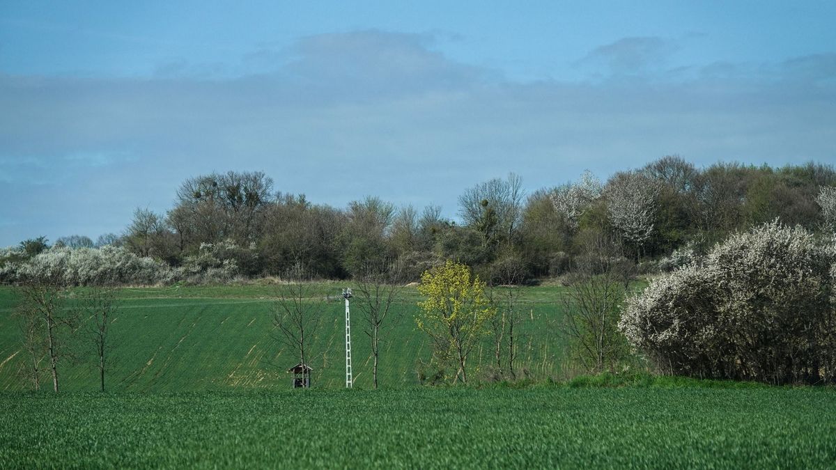 Tavaszi arcát mutatja az idő: széllel és felhőkkel jön a fordulat Veszprémben