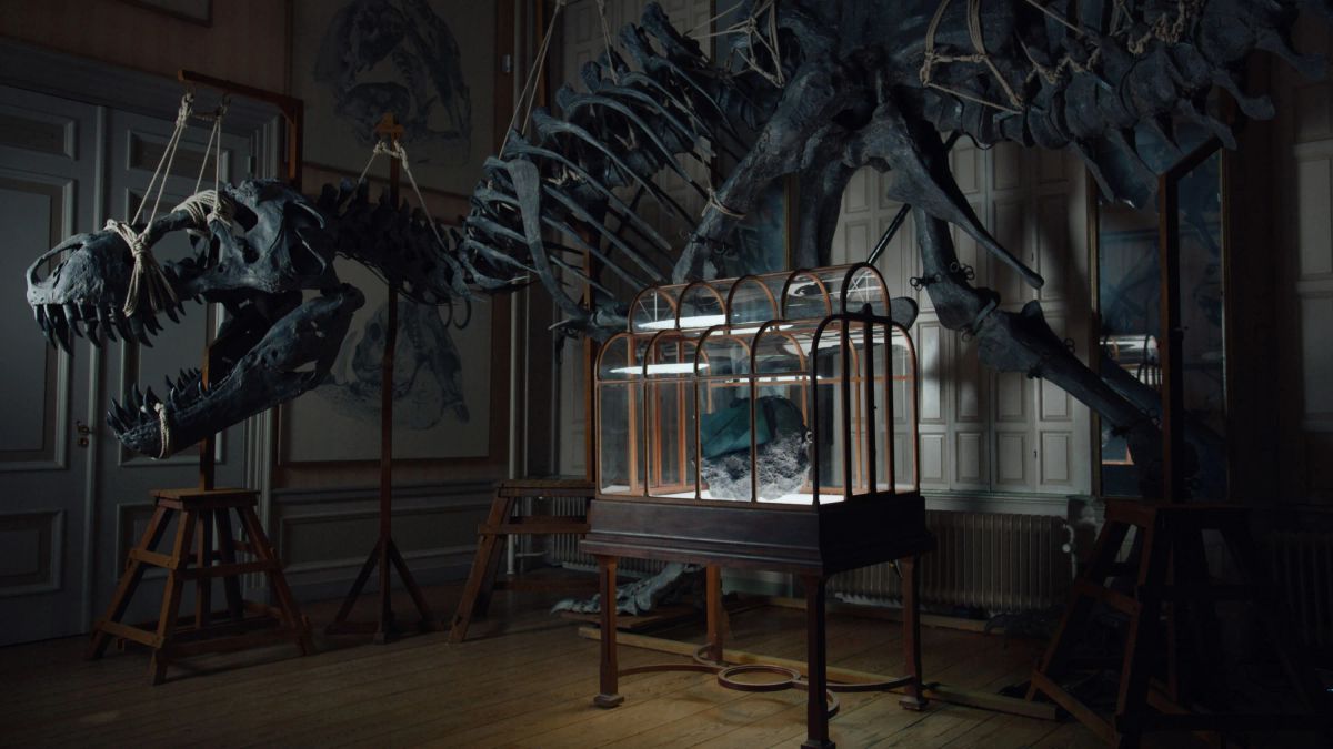 Őskori luxus: bemutatták a világ első dinoszauruszbőr kézitáskáját (+fotók,videó)