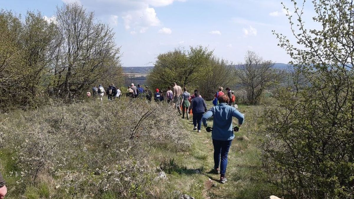 Igazán egyedi hangulatú kihívást, túrázást ajánlhatunk családoknak is a Bakony gyönyörű hegyén