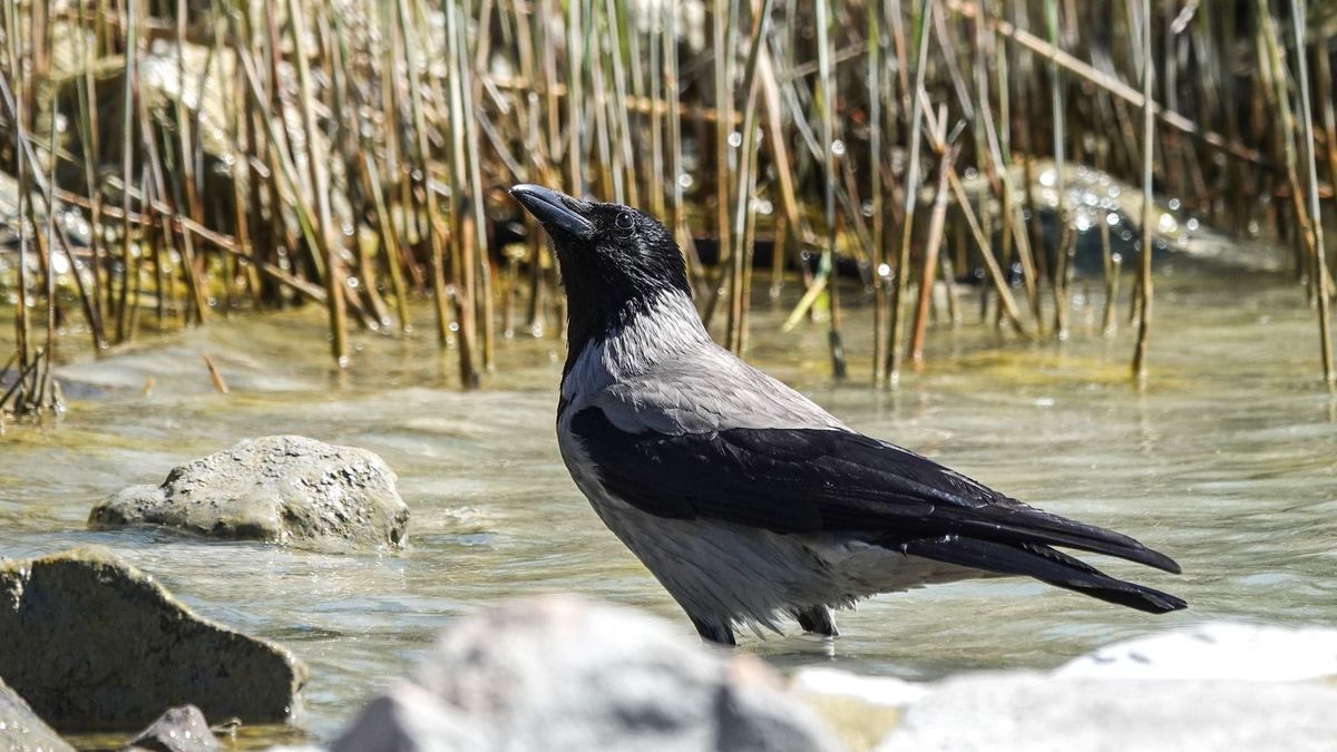 Felhőkkel és erős széllel érkezik a szerda