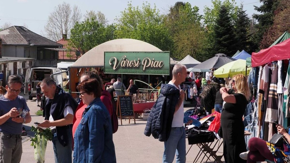 A legjobb termelői piacok Veszprém megyében